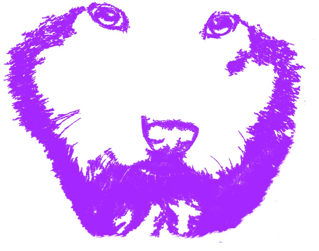 WOLFSAUGE. Der Weg durch die&nbsp;Nacht